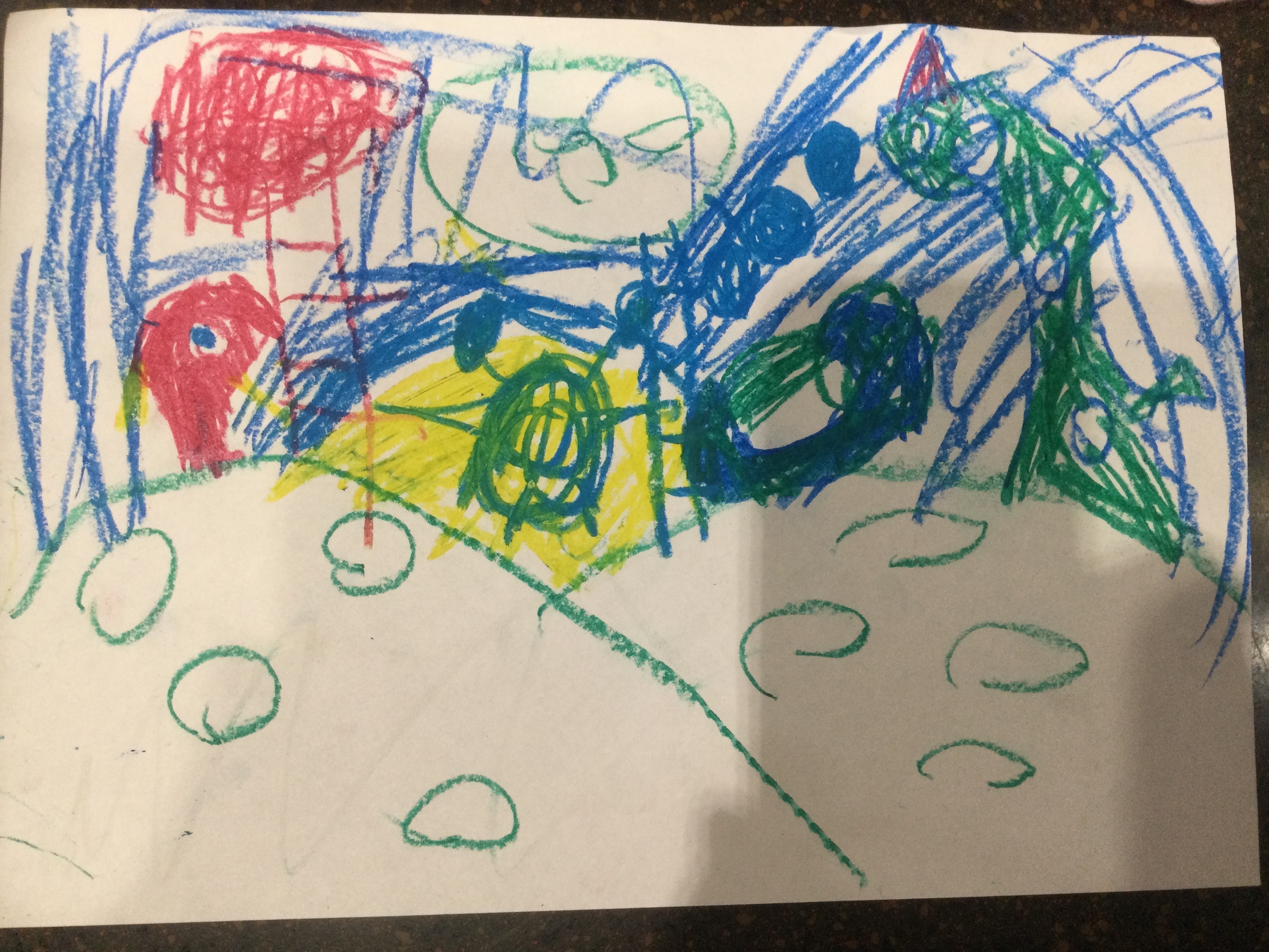 Рисунок участника Варя Закирова, 6 Лет