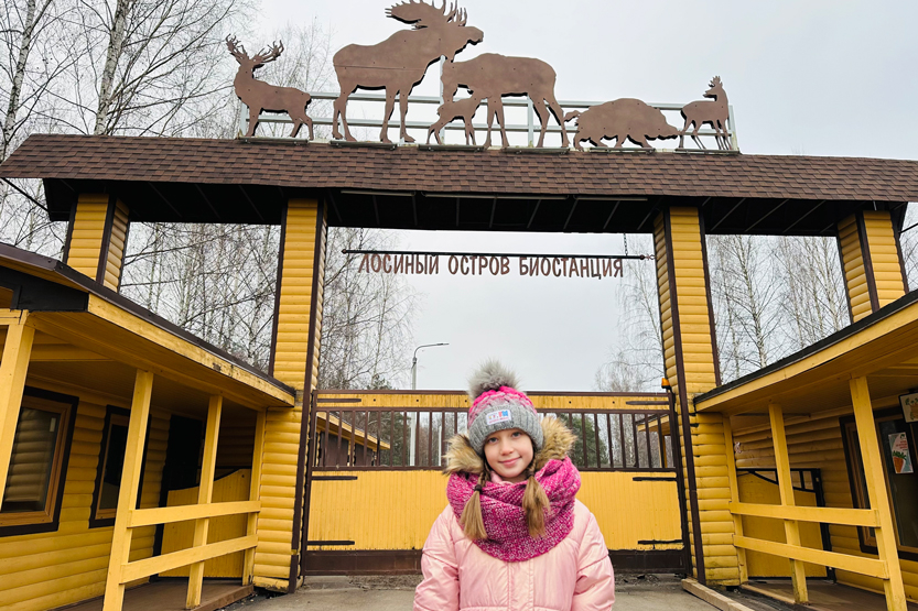 Как правильно подкармливать птиц зимой